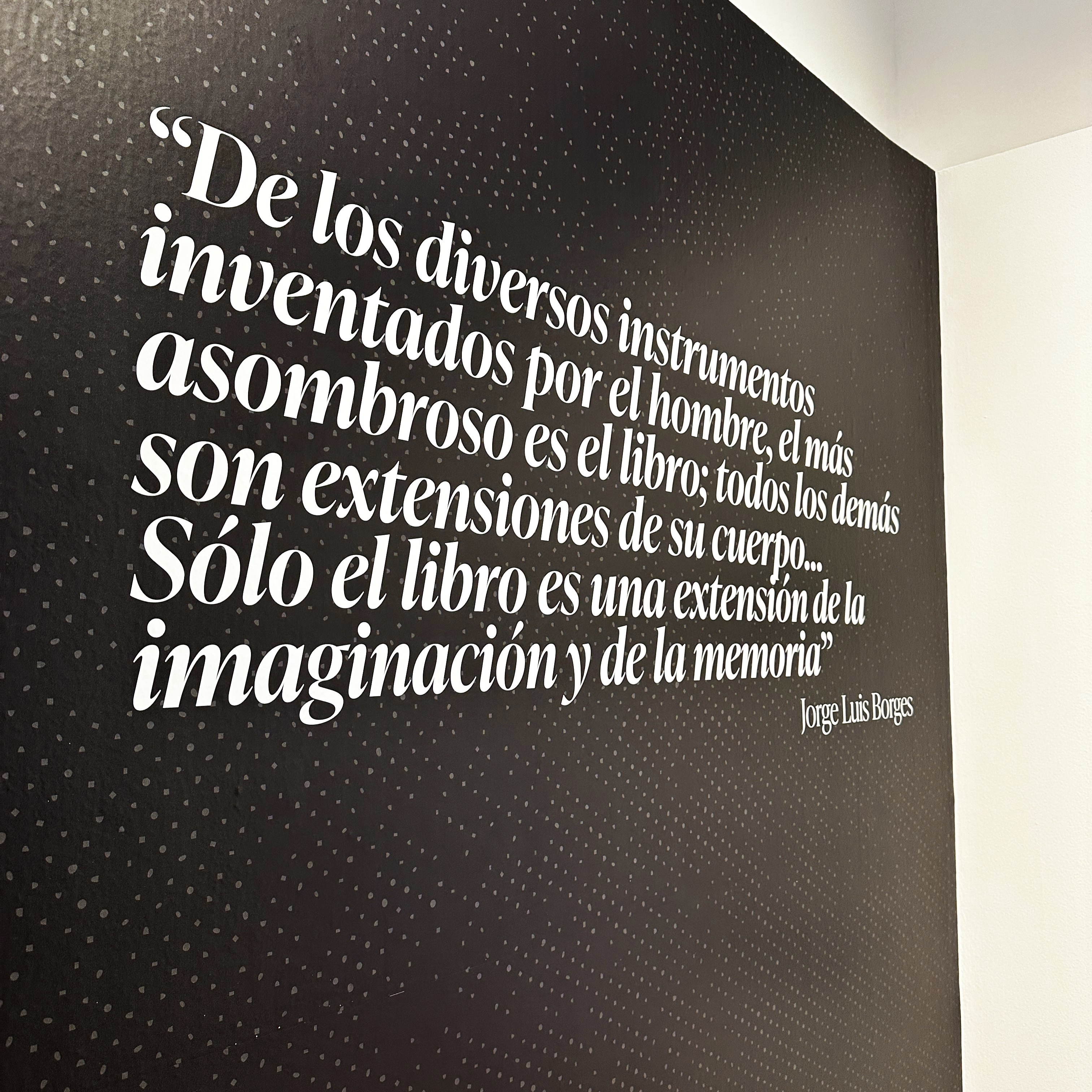 imagen 41