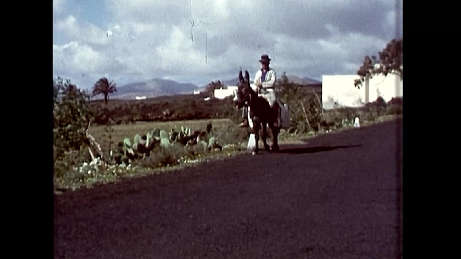 Visita a Lanzarote (1971) en VIDEOS 