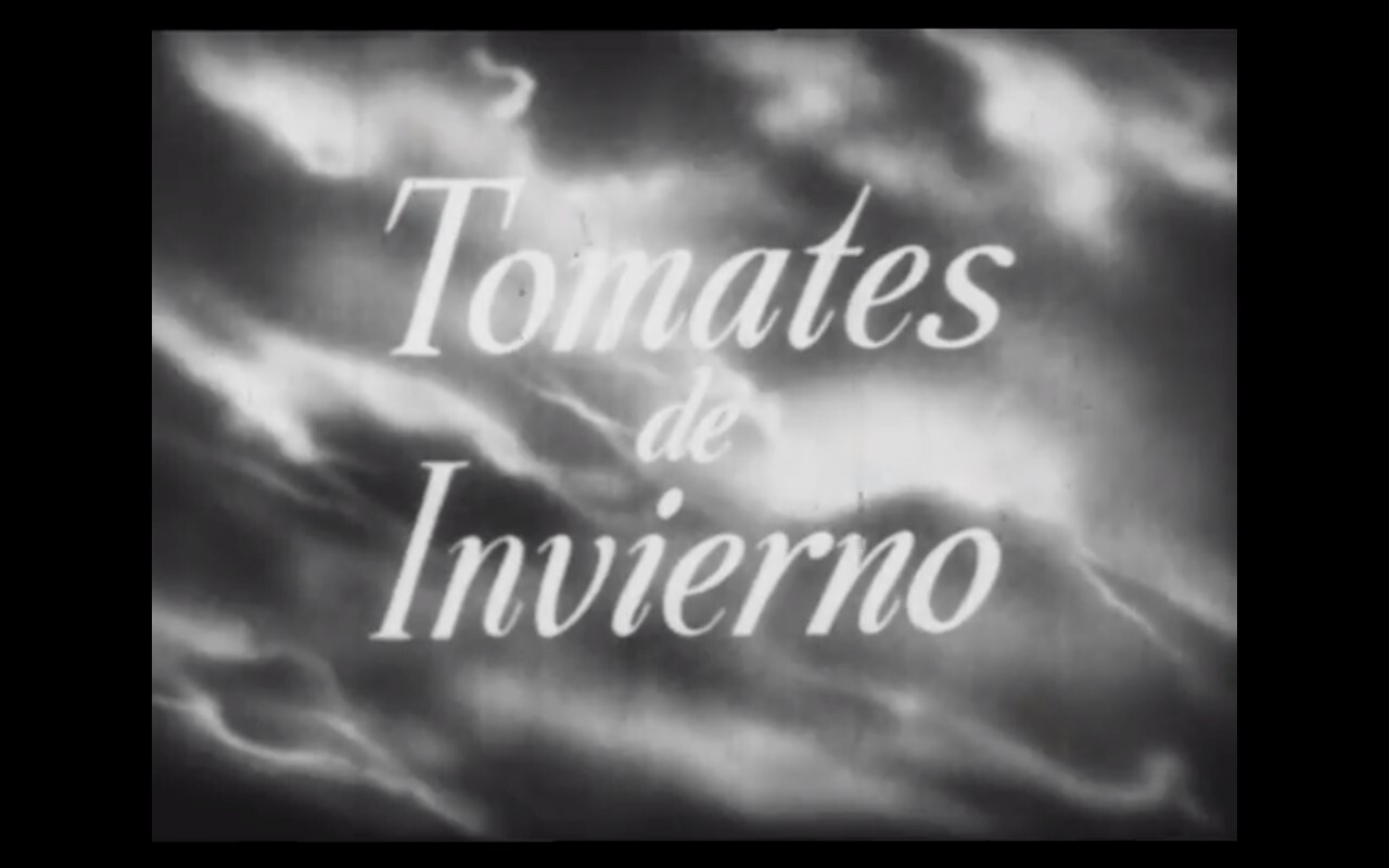 Tomates de invierno (1953) en VIDEOS 