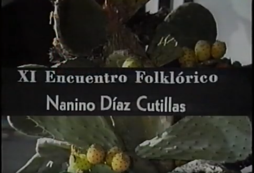 Resumen XI Encuentro folklórico "Nanino Díaz Cutillas" en VIDEOS 