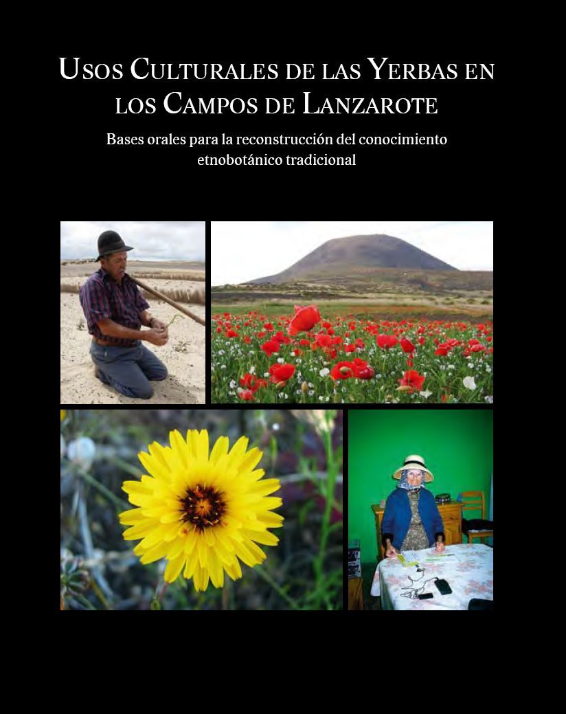 Usos culturales de las yerbas en los campos de Lanzarote en TEXTOS 