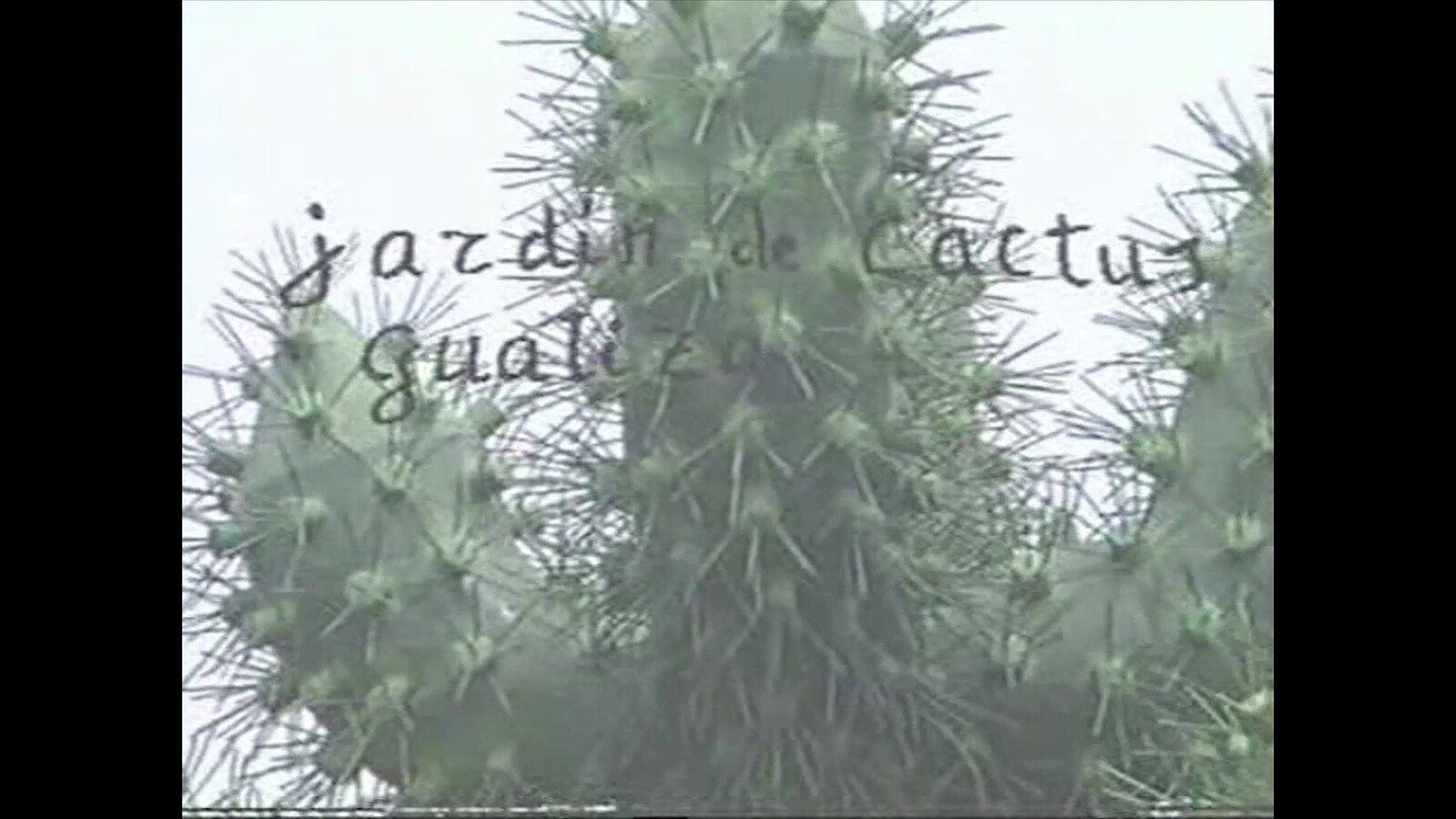 Jardín de Cactus. Guatiza (1990) en VIDEOS 