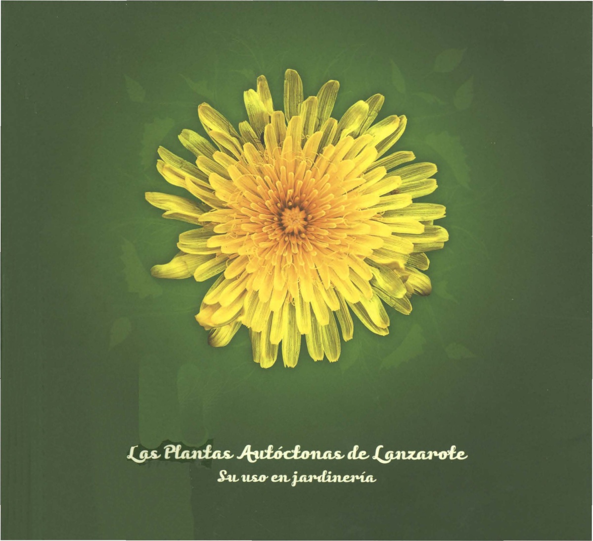 Las plantas autóctonas de Lanzarote. Su uso en jardinería