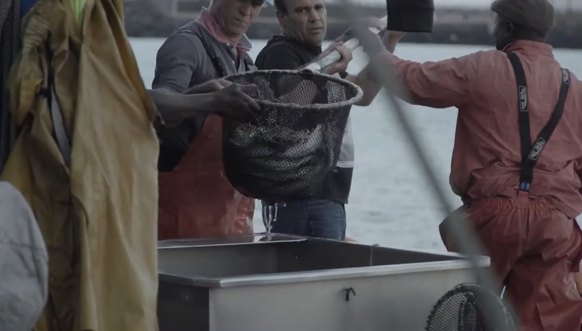Atún de Lanzarote. Pesca sostenible y artesanal en VIDEOS 