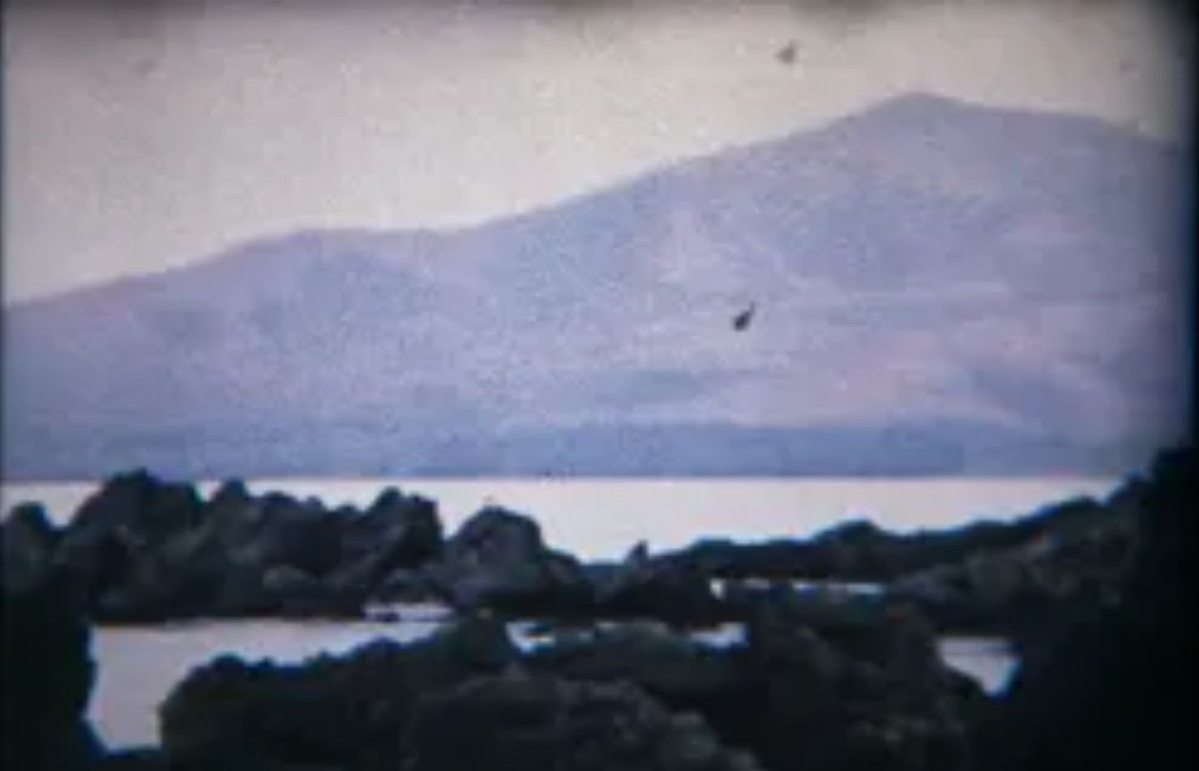 Puerto del Carmen y jardines del Hotel Fariones en VIDEOS 