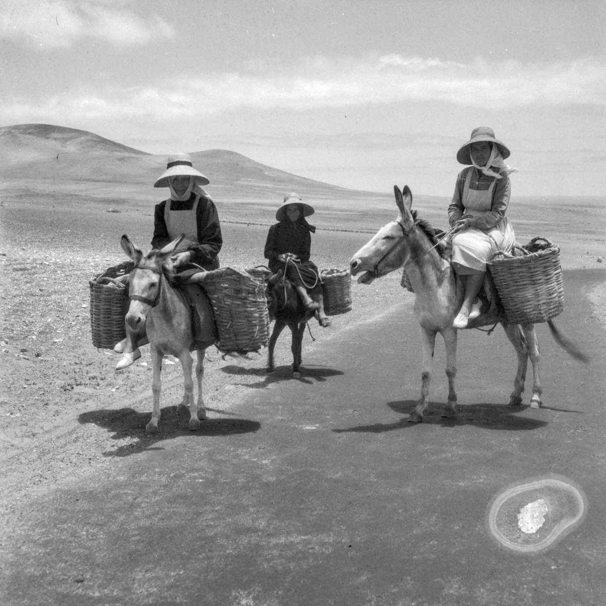 Memoria Ditigal de Lanzarote amplía su fondo de imágenes antiguas de la isla en undefined 