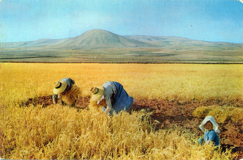 Exposición: LANZAROTE Y LA TARJETA POSTAL (inauguración) en undefined 